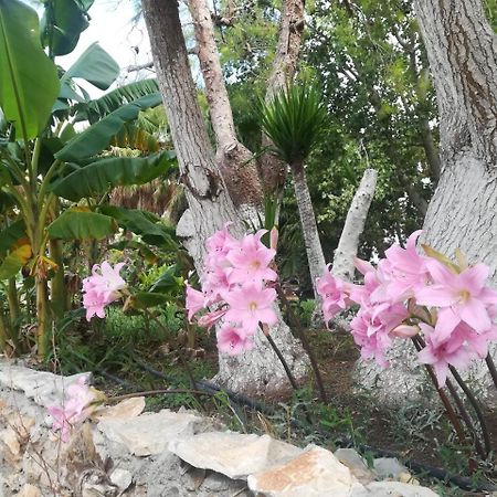 סן פנקרציו סלנטינו Agriturismo Torrevecchia מראה חיצוני תמונה