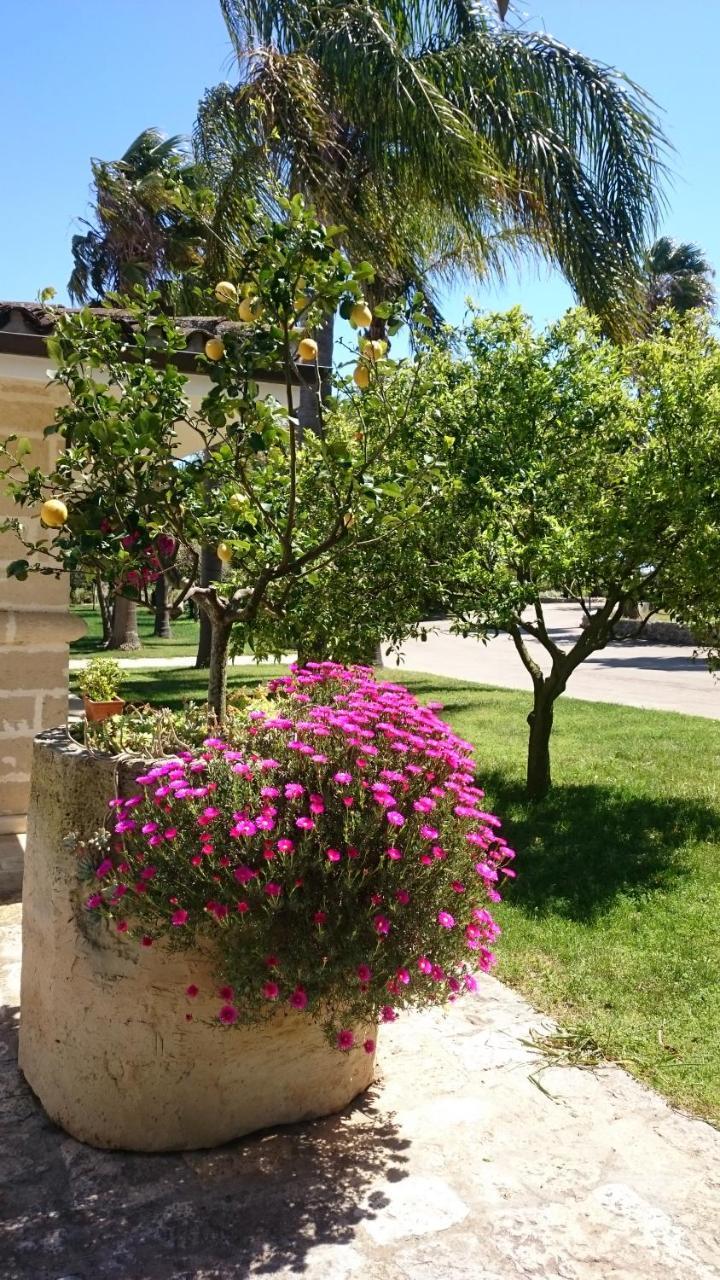 סן פנקרציו סלנטינו Agriturismo Torrevecchia מראה חיצוני תמונה