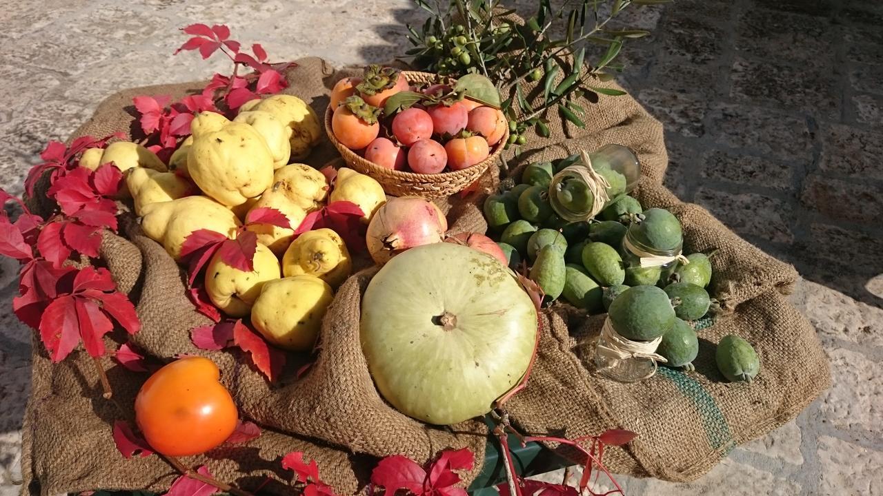 סן פנקרציו סלנטינו Agriturismo Torrevecchia מראה חיצוני תמונה
