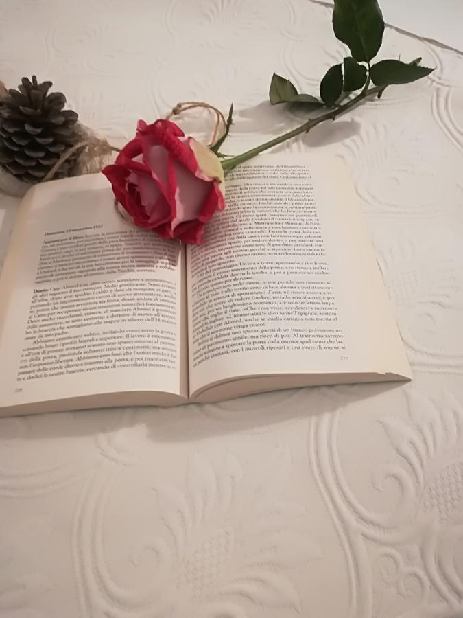 סן פנקרציו סלנטינו Agriturismo Torrevecchia מראה חיצוני תמונה