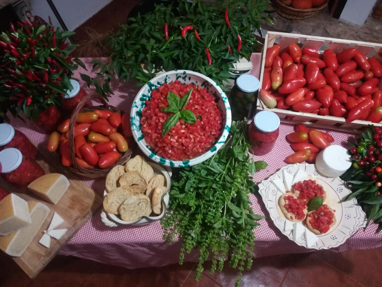 סן פנקרציו סלנטינו Agriturismo Torrevecchia מראה חיצוני תמונה